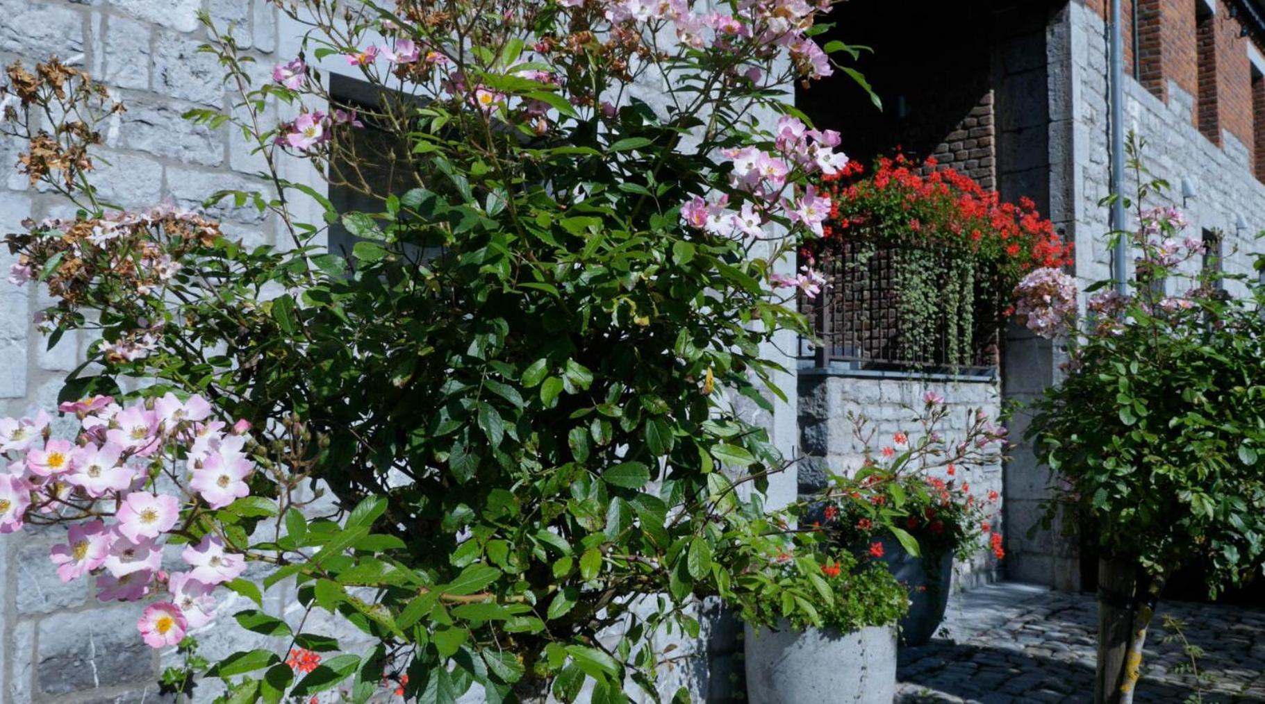 Gites Ferme De La Barriere Chimay Bagian luar foto